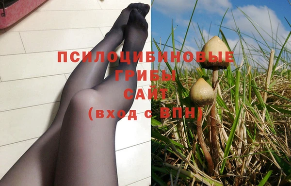 амфетамин Алексеевка