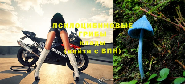 герыч Алексин