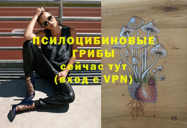 амфетамин Алексеевка