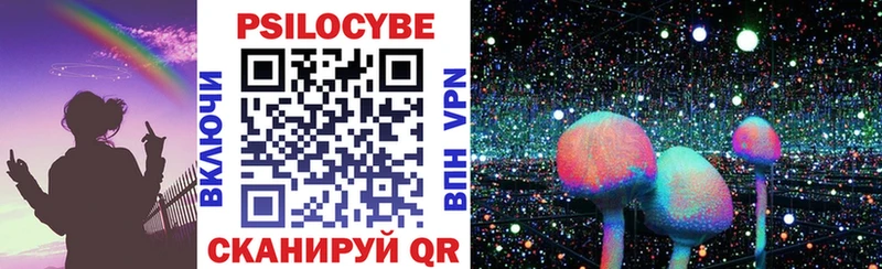 как найти закладки  Дмитриев  Псилоцибиновые грибы мухоморы 