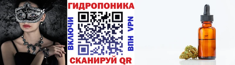 Бошки Шишки ГИДРОПОН  МЕГА сайт  Дмитриев 